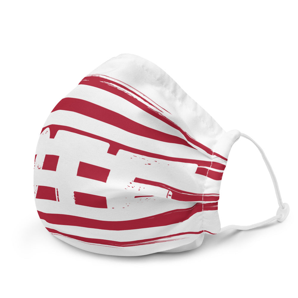 VOTE American Flag Face mask